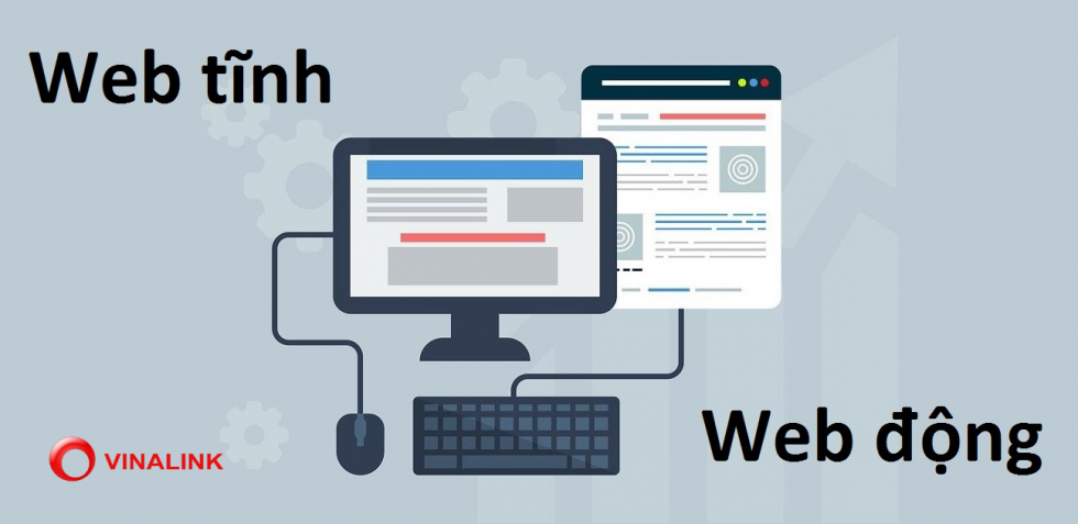Có mấy loại trang web